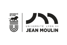 Université Lyon 3